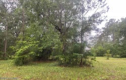 154 Sapelo Park Drive NE, Shellman Bluff, GA 31331
