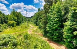 Ditney Hill Rd, Drakesboro, KY 42337