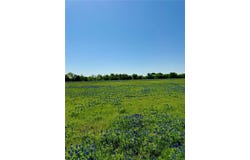 5.72 Acres FM 308 Road, Penelope, TX 76676