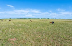 Tbd Parkey Road, Olney, TX 76370