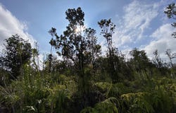 KALEPONI DR, Volcano, HI 96785