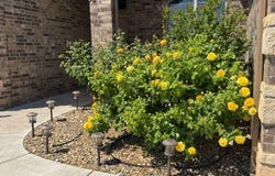 9616 Kline Avenue, Lubbock, TX 79424