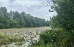 Gainestown Road, Jackson, AL 36545