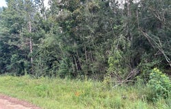 Tbd River Road North, Summit, MS 39666