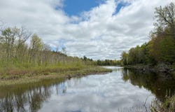6310 BAMBILAND RD, Mercer, WI 54547