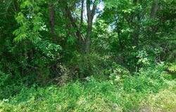 .38 Acre Garrett Avenue, East Tawakoni, TX 75472