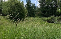 0 Carol DR, Gaston, OR 97119