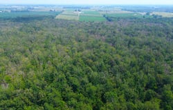 0 Ballard Road, Seymour, WI 54165