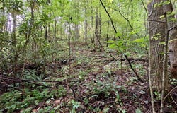Cross Creek Circle, Sylva, NC 28779