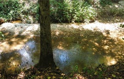 Smith Mcgee Road, Starr, SC 29684