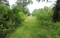 0 Mobile Road, Greenville, AL 36037