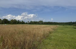 345 Emily Drive, Chadbourn, NC 28431
