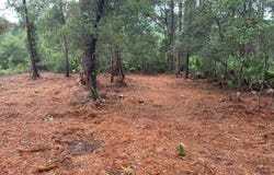 318 PALM WAY, GEORGETOWN, FL 32139