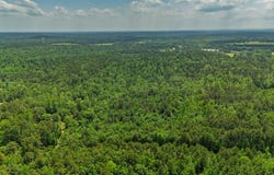 Tract 26 County Road 3273, Quitman, TX 75783