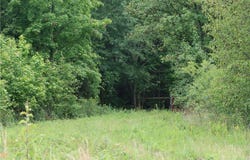 Young Road, Starr, SC 29684