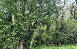 Kristi Road N, Martinsville, IN 46151