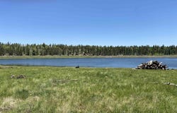 Lot 40 Ab Hidden lake Circle, Angel Fire, NM 87710