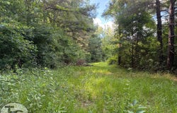 1115 melton rd, Durant, MS 39063