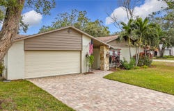 3005 ENISGLEN DRIVE, PALM HARBOR, FL 34683