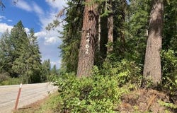 2462X WA-25, KETTLE FALLS, WA 99141