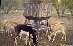 587 Valley Rd., Eldorado, TX 76936