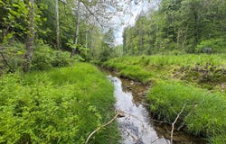 0 Rush Run, Normantown, WV 25267