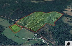 276 CULLERS RUN, MATHIAS, WV 26812