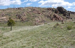 37 Black Mountain Ct, Livermore, CO 80536