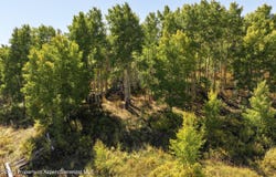 Tbd Divide Road, Whitewater, CO 81527