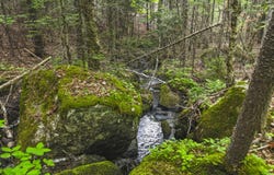 9997 NYS Route 9N, Keene, NY 12942
