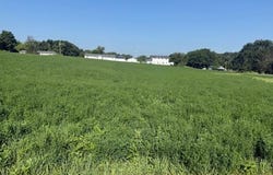 TBD CR 61 Road, Hamilton, IN 46742