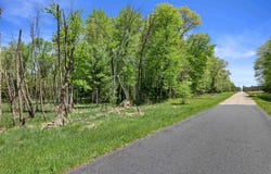 Lot 2 Chicago Avenue, Arkdale, WI 54613