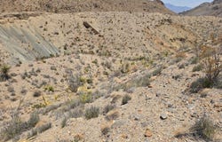 24968 Gate 2 Rd, Terlingua, TX 79852