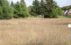 7618 Red Fox Road, Canadian Lakes, MI 49346