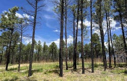 22 Calle Retiro Road, Rociada, NM 87742