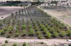 557 Aldaz Road, Anthony, NM 88021