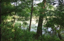 Lot 11 103rd Street, Frederic, WI 54837