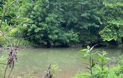 88 South Kennon Rd., Foster, KY 41043