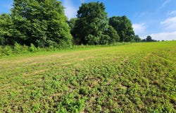 000 EAGLE ROAD, Marshfield, WI 54449