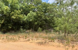 21st St, Colorado City, TX 79512