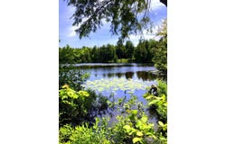 25 Acres TBD Pelissier Lake, Marquette, MI 49855