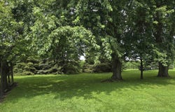 360 S Broadway Street, Frankfort, IN 46041