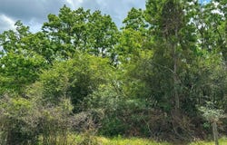 00a Clyde Loftin Road, Sumrall, MS 39482