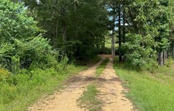 148 Butler Drive, Braxton, MS 39044