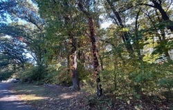 5723 Independence Avenue, Portage, IN 46368