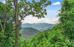 650 Freemont Street unit: 81, Leicester, NC 28748