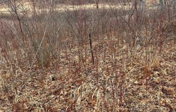 Tbd Fawn Trail NE, Longville, MN 56655