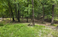 TBD Pheasant Circle, Afton, OK 74331