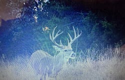 4636 CR 1100, Elk City, KS 67344