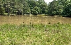 Pr Off County Road 164, Fremont, MO 63941